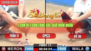 Trận 11 CPC3 10/8/2024 Anh Tí Đá Xổ Anh Tí Bến Tre