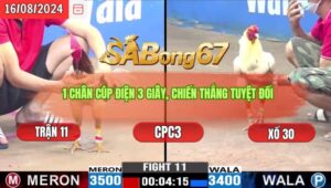 Trận 11 CPC3 16/8/2024 Anh Đen Vũng Tàu Xổ Anh Tài Bình Dương