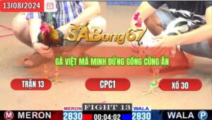 Trận 13 CPC1 13/8/2024 Má Minh Đá Xổ Anh Quẹo