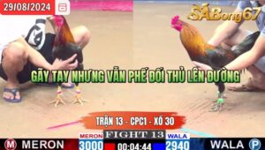 Trận 13 CPC1 29/8/2024 Anh Danh V.Lộc Đá Xổ Anh Đỏ