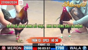 Trận 13 CPC3 27/8/2024 Anh Duyên Bình Dương Đá Xổ Anh Điệp