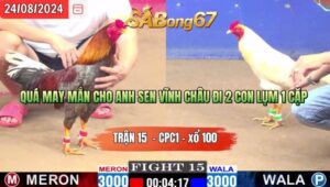 Trận 15 CPC1 24/8/2024 Anh Quang Cần Thơ Đá Xổ Anh Sen Vĩnh Châu