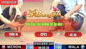 Trận 16 CPC1 15/8/2024 Anh Hòa Đá Xổ Anh Tân Tiền Giang