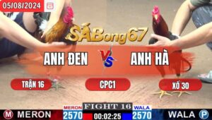 Trận 16 CPC1 582024 Anh Đen Đá Xổ Anh Hà