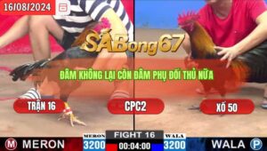 Trận 16 CPC2 16/8/2024 Anh Chương Đồng Nai Đá Xổ Anh Phước Cần Thơ