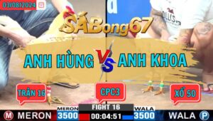 Trận 16 CPC3 3/8/2024 Anh Hùng Đá Xổ Anh Khoa