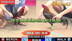 Trận 18 CPC1 29/8/2024 Anh Đỏ Đá Xổ Anh Hòa