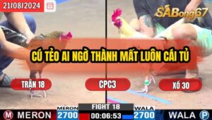 Trận 18 CPC3 21/8/2024 Anh Phong Bình Dương Đá Xổ Anh Tèo Bảo Lộc