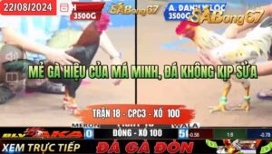 Trận 18 CPC3 22/8/2024 Anh Minh Đá Xổ Anh Danh V.Lộc