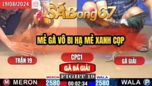 Trận 19 CPC1 19/8/2024 Anh Đăng Bình Dương Đá Xổ Anh An Tầm Du