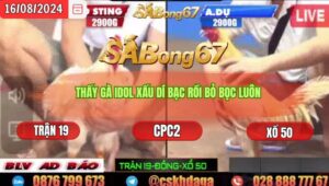 Trận 19 CPC2 16/8/2024 Anh Bảo Sting Đá Xổ Anh Dự