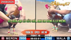 Trận 19 CPC3 29/8/2024 Anh Hòa Đá Xổ Anh Huy