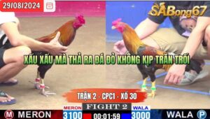 Trận 2 CPC1 29/8/2024 Anh Danh V.Lộc Đá Xổ Anh Đỏ