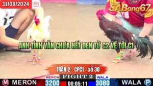 Trận 2 CPC1 31/8/2024 Anh Phước Đá Xổ Anh Huy