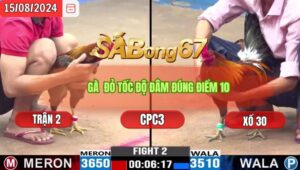 Trận 2 CPC3 15/8/2024 Anh Sỹ Bình Dương Đá Xổ Anh Tý Long An