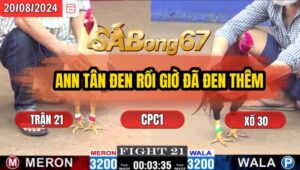 Trận 21 CPC1 20/8/2024 Anh Tân Tiền Giang Đá Xổ Anh Nhí