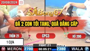 Trận 21 CPC3 20/8/2024 Anh Tèo Đá Xổ Chú Khanh