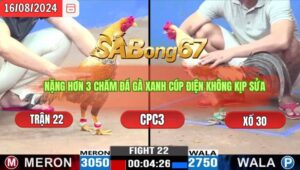 Trận 22 CPC3 16/8/2024 Anh Tài Đá Xổ Anh Đen