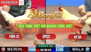 Trận 23 CPC2 9/8/2024 Anh Huy Đá Xổ Anh Bảo Sting