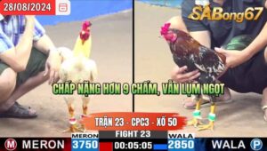 Trận 23 CPC3 28/8/2024 Má Minh Đá Xổ Anh Nguyên Cm