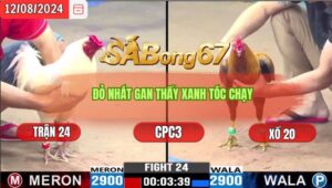 Trận 24 CPC3 12/8/2024 Anh Trung Cần Đước Đá Xổ Anh Quang Bình Dương