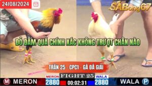 Trận 25 CPC1 24/8/2024 Anh Tiên Đồng Nai Đá Xổ Anh Vua Gà Az