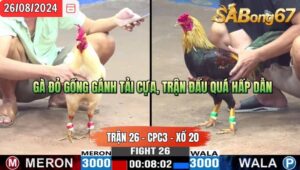 Trận 26 CPC3 26/8/2024 Anh Bảo Đá Xổ Anh Hữu