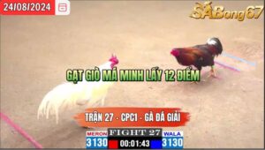 Trận 27 CPC1 24/8/2024 Anh Minh Long An Đá Xổ Sabong67