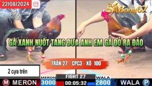 Trận 27 CPC3 22/8/2024 Anh Sen Đá Xổ Anh Út Bạc Liêu