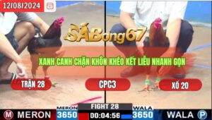 Trận 28 CPC3 12/8/2024 Anh Lìn Đá Xổ Anh Hiền Bình Dương