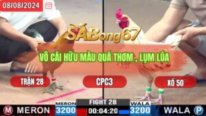 Trận 28 CPC3 8/8/2024 Anh Tin Đá Xổ Anh Cháu