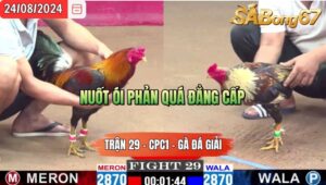 Trận 29 CPC1 24/8/2024 Anh Sen Bình Dương Đá Xổ Anh Thái Sài Gòn