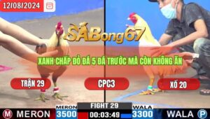 Trận 29 CPC3 12/8/2024 Anh Minh Đá Xổ Anh Út Bạc Liêu