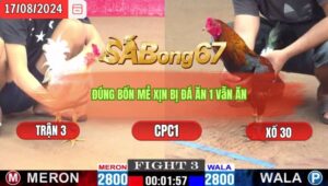 Trận 3 CPC1 17/8/2024 Anh Phước Đá Xổ Chú Tài