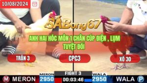 Trận 3 CPC3 10/8/2024 Anh Hai Hóc Môn Đá Xổ Anh Huy