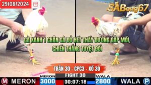 Trận 30 CPC3 29/8/2024 Anh Hai Hóc Môn Đá Xổ Anh Trung