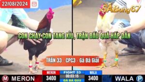 Trận 33 CPC3 22/8/2024 Anh Minh Bến Tre Đá Xổ Anh Huy A