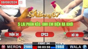 Trận 34 CPC3 8/8/2024 Anh Huy Đá Xổ Anh Lìn