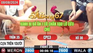 Trận 35 CPC3 8/8/2024 Anh Bảo Đá Xổ Anh Ti Vũng Tàu