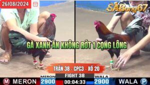 Trận 38 CPC3 26/8/2024 Anh Huy Đá Xổ Anh Đạo