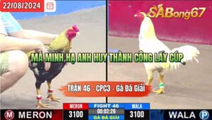 Trận 46 CPC3 22/8/2024 Anh Minh Bến Tre Đá Xổ Anh Huy A