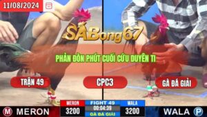 Trận 49 CPC3 11/8/2024 Anh Duyên Ti Đá Xổ Anh Mo Tiền Giang