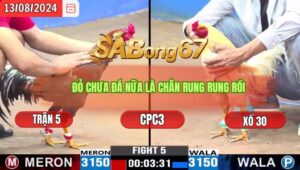 Trận 5 CPC3 13/8/2024 Anh Thiện Long An Đá Xổ Anh Nam Cần Thơ