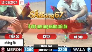 Trận 53 CPC3 11/8/2024 Anh Linh Sóc Trăng Đá Xổ Anh Bé Điệp