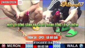 Trận 54 CPC1 24/8/2024 Wala C1 Đá Xổ Sabong67