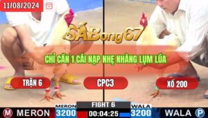 Trận 6 CPC3 11/8/2024 Anh Toàn Trắng Trà Vinh Đá Xổ Anh Hải Bến Tre