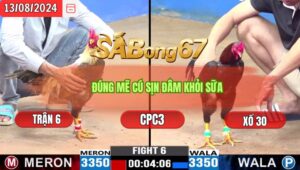 Trận 6 CPC3 13/8/2024 Anh Quang Cần Thơ Đá Xổ Anh Bé Ba Vũng Tàu