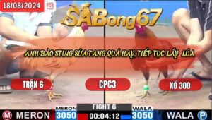 Trận 6 CPC3 18/8/2024 Anh Dũng Sài Gòn Đá Xổ Anh Bảo Sting