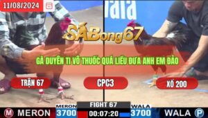 Trận 67 CPC3 11/8/2024 Anh Mo Tiền Giang Đá Xổ Anh Duyên Ti