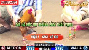 Trận 7 CPC1 24/8/2024 Anh Minh Long An Đá Xổ Anh Phước Cần Thơ